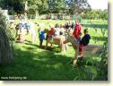 Bild vergrssern!